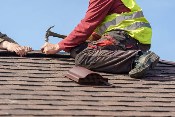 Best Storm Damage Roof Repair  in Coalfield, TN