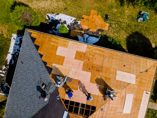 Best Local Roofing Companies  in Coalfield, TN