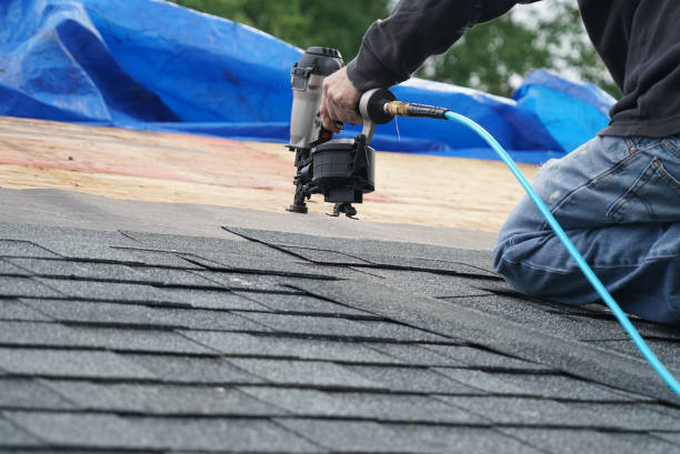 Best Roof Leak Repair  in Coalfield, TN