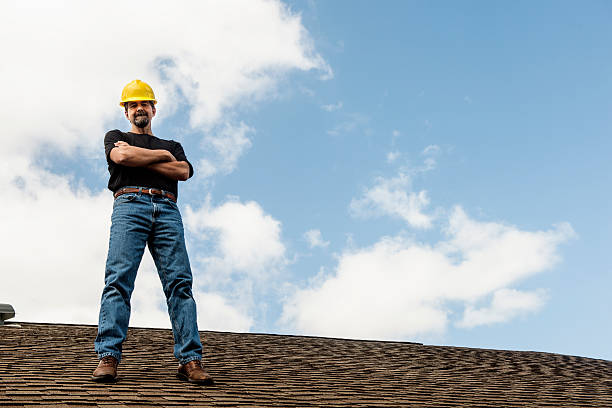 Best Gutter Installation and Roofing  in Coalfield, TN