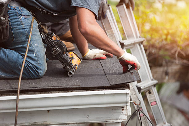 Best Roof Repair Services  in Coalfield, TN
