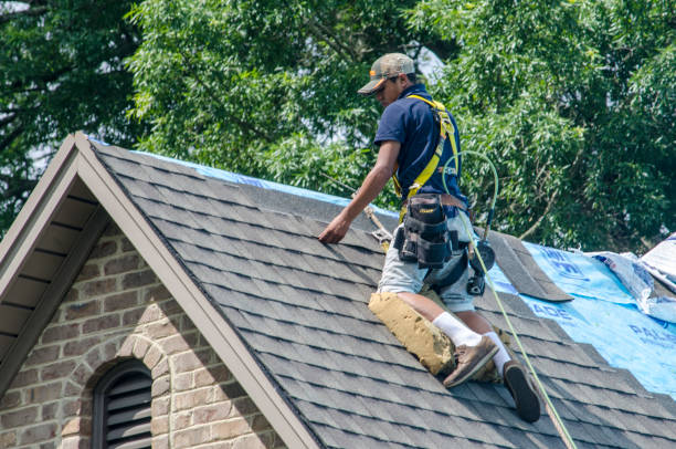 Best Roofing Contractors for Homes  in Coalfield, TN